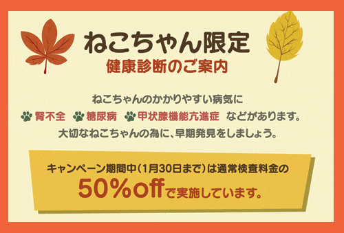 船橋市　動物病院　健康診断