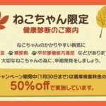 猫　健康診断　船橋市